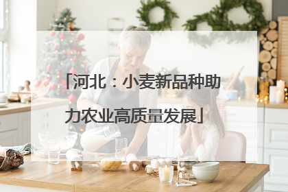 河北：小麦新品种助力农业高质量发展