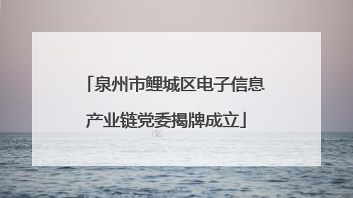 泉州市鲤城区电子信息产业链党委揭牌成立