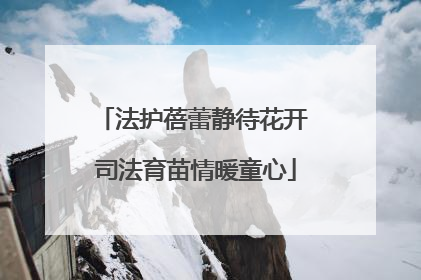 法护蓓蕾静待花开 司法育苗情暖童心