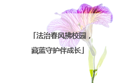 法治春风拂校园，藏蓝守护伴成长