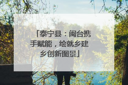 泰宁县：闽台携手赋能，绘就乡建乡创新图景