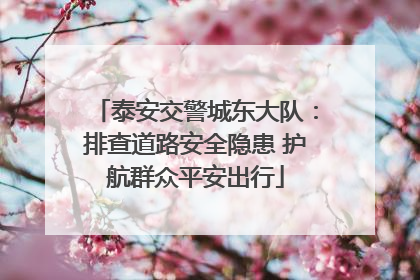 泰安交警城东大队：排查道路安全隐患 护航群众平安出行