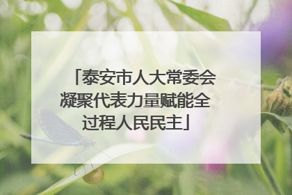 泰安市人大常委会凝聚代表力量赋能全过程人民民主