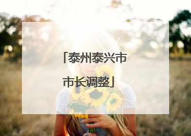 泰州泰兴市市长调整
