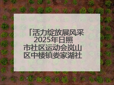 活力绽放展风采 2025年日照市社区运动会岚山区中楼镇娄家湖社区专场举行