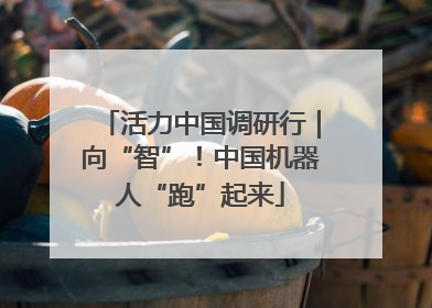 活力中国调研行｜向“智”！中国机器人“跑”起来