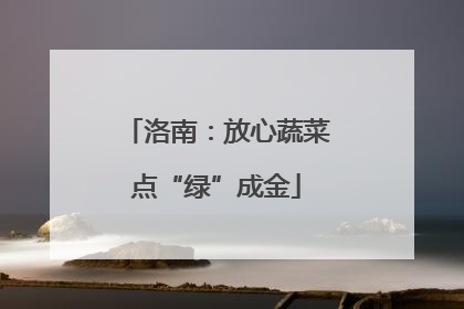 洛南：放心蔬菜点“绿”成金