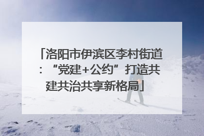 洛阳市伊滨区李村街道：“党建+公约”打造共建共治共享新格局