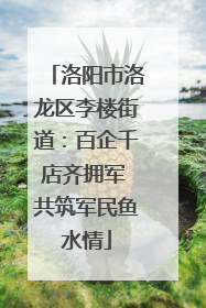 洛阳市洛龙区李楼街道：百企千店齐拥军 共筑军民鱼水情
