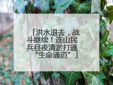 洪水退去，战斗继续！连山民兵昼夜清淤打通“生命通道”