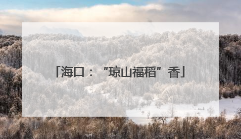 海口：“琼山福稻”香