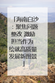 海南白沙：聚焦问题整改 激励担当作为 绘就高质量发展新图景