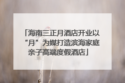 海南三正月酒店开业以“月”为媒打造滨海家庭亲子高端度假酒店