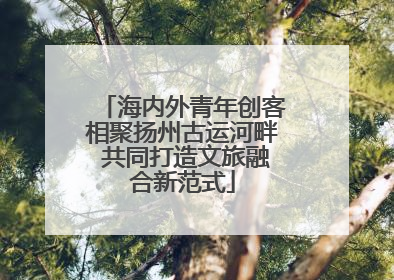 海内外青年创客相聚扬州古运河畔 共同打造文旅融合新范式