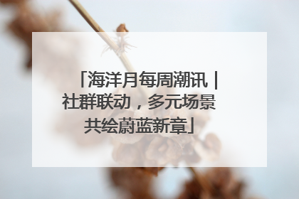 海洋月每周潮讯｜社群联动，多元场景共绘蔚蓝新章