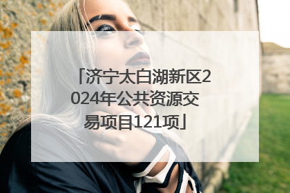 济宁太白湖新区2024年公共资源交易项目121项