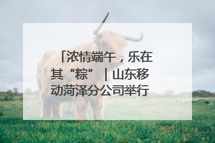 浓情端午，乐在其“粽”｜山东移动菏泽分公司举行端午节主题活动