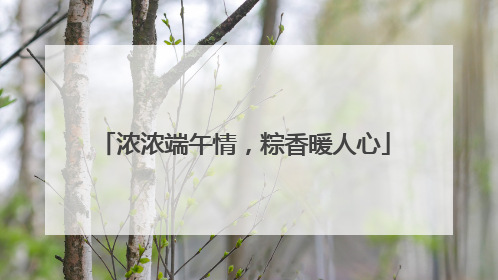 浓浓端午情，粽香暖人心