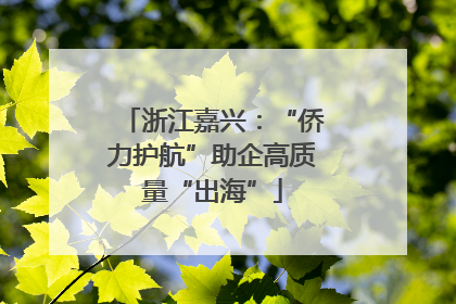 浙江嘉兴：“侨力护航”助企高质量“出海”