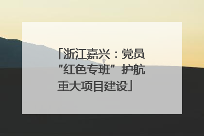 浙江嘉兴：党员“红色专班”护航重大项目建设
