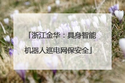 浙江金华：具身智能机器人巡电网保安全