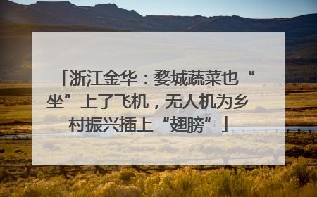 浙江金华：婺城蔬菜也“坐”上了飞机，无人机为乡村振兴插上“翅膀”