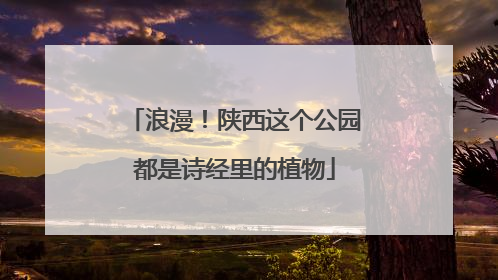 浪漫！陕西这个公园都是诗经里的植物