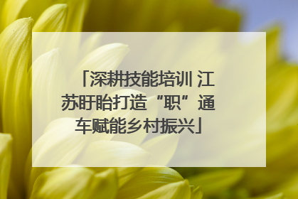 深耕技能培训 江苏盱眙打造“职”通车赋能乡村振兴