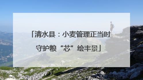 清水县：小麦管理正当时 守护粮“芯”绘丰景