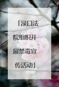 渌口法院组织开展禁毒宣传活动