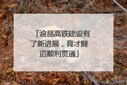 渝昆高铁建设有了新进展，育才隧道顺利贯通