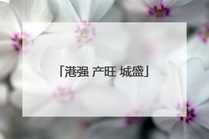 港强 产旺 城盛
