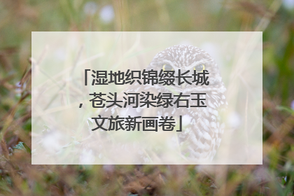湿地织锦缀长城，苍头河染绿右玉文旅新画卷