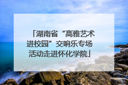湖南省“高雅艺术进校园”交响乐专场活动走进怀化学院