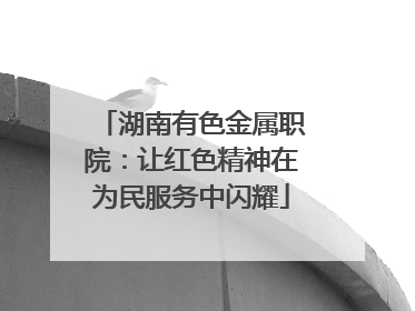 湖南有色金属职院：让红色精神在为民服务中闪耀