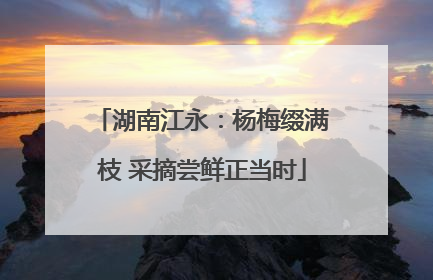 湖南江永：杨梅缀满枝 采摘尝鲜正当时