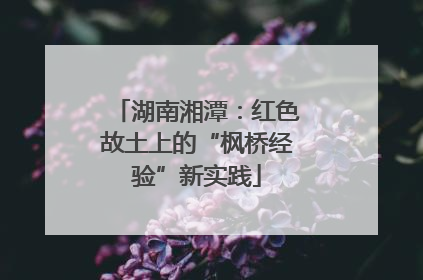 湖南湘潭：红色故土上的“枫桥经验”新实践