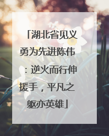 湖北省见义勇为先进陈伟：逆火而行伸援手，平凡之躯亦英雄