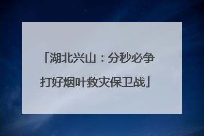 湖北兴山：分秒必争 打好烟叶救灾保卫战
