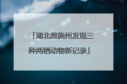 湖北恩施州发现三种两栖动物新记录