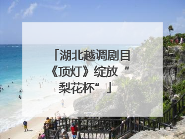 湖北越调剧目《顶灯》绽放“梨花杯”