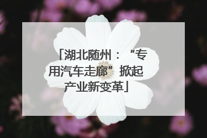 湖北随州：“专用汽车走廊”掀起产业新变革