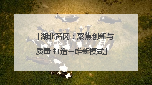 湖北黄冈：聚焦创新与质量 打造三维新模式