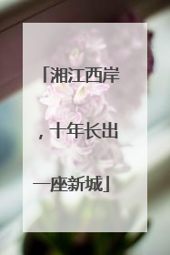 湘江西岸，十年长出一座新城