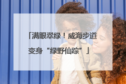 满眼翠绿！威海步道变身“绿野仙踪”