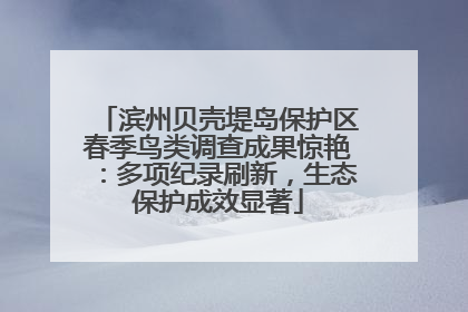 滨州贝壳堤岛保护区春季鸟类调查成果惊艳：多项纪录刷新，生态保护成效显著