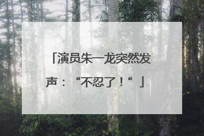 演员朱一龙突然发声：“不忍了！”