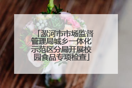 漯河市市场监督管理局城乡一体化示范区分局开展校园食品专项检查
