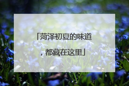 菏泽初夏的味道，都藏在这里