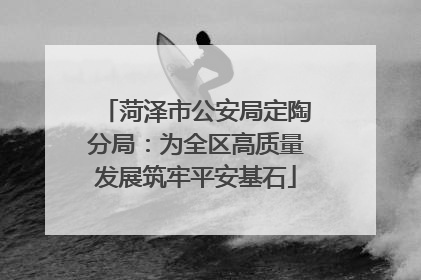 菏泽市公安局定陶分局：为全区高质量发展筑牢平安基石
